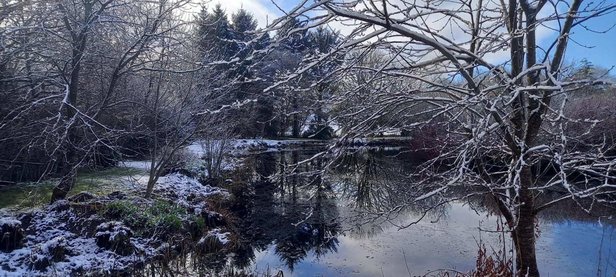 Polgwedhen Lodge ترورو المظهر الخارجي الصورة